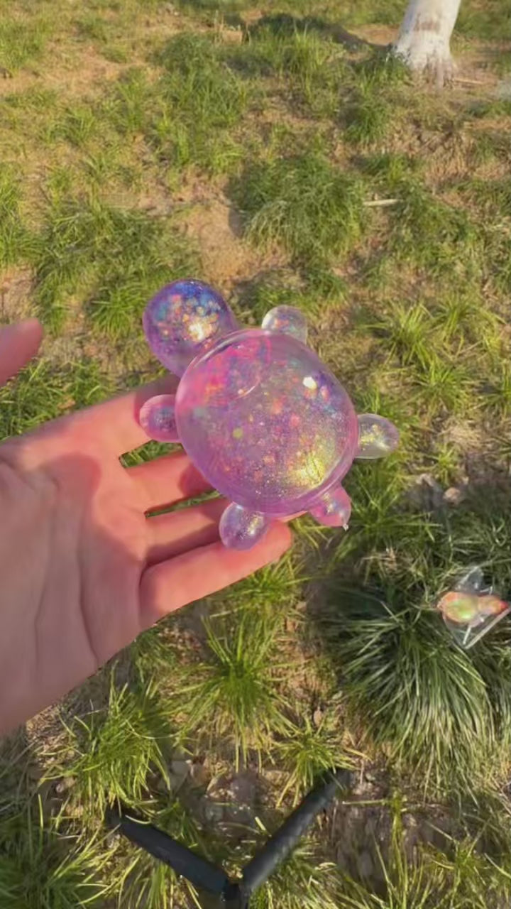 Galaxy Turtle Jelly Squish